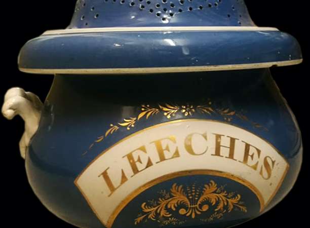 Leeches bowl