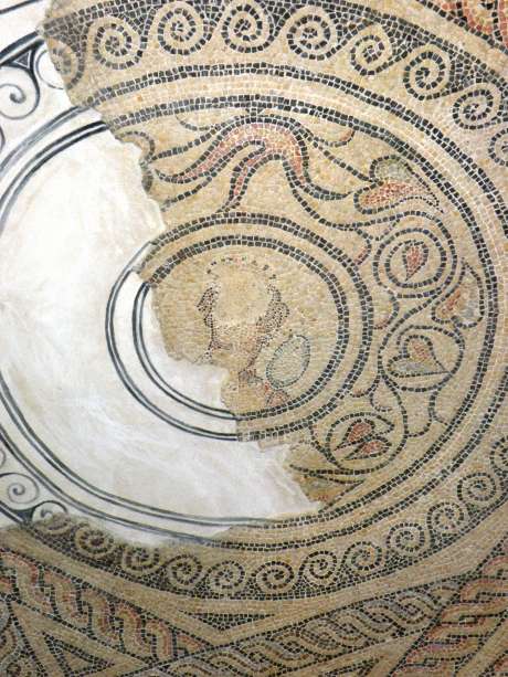 Image of Venus Mosaic