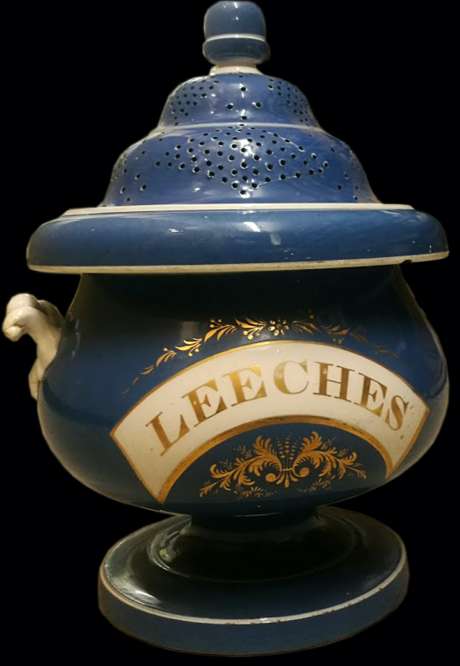 Image of Leeches bowl