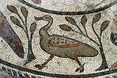 Mosaic of duck