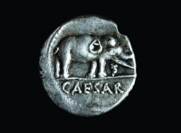 Elephant coin